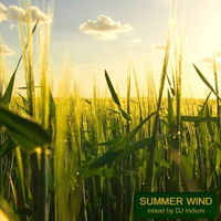 Various Artists [Chillout, Relax, Jazz] - Summer Wind (mixed by DJ Iridium)