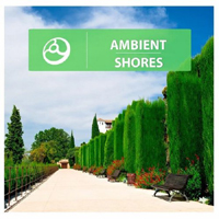 Various Artists [Chillout, Relax, Jazz] - Ambient Shores