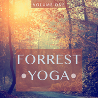 Various Artists [Chillout, Relax, Jazz] - Forrest Yoga Vol. 1