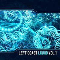 Various Artists [Chillout, Relax, Jazz] - Left Coast Liquid Vol. 1