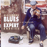 Andries, Alexandru - Blues Expert