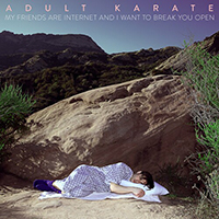 Adult Karate - My Friends Are Internet And I Want To Break You Open