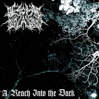 Desolate Isolation - A Reach Into the Dark