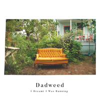 Dadweed - I Dreamt I Was Running