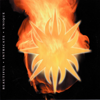 Oldfield, Sally - Flaming Star