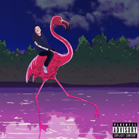 Token (USA) - Flamingo