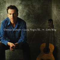 Ottmar Liebert & Luna Negra - Little Wing