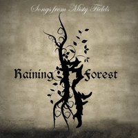 Raining Forest - Songs From Misty Fields