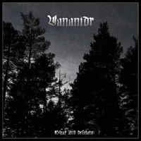 Vananidr - Bleak And Desolate (Single)