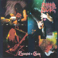 Morbid Angel - Entangled In Chaos