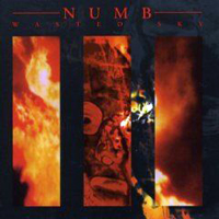 Numb - Wasted Sky (Limited Edition)
