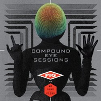 PIG - Compound Eye Sessions (Pig vs MC Lord Of The Flies )