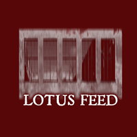 Lotus Feed - Dr. Death/Loveshock (Single)