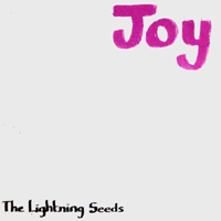 Lightning Seeds - Joy (Single)