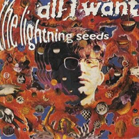 Lightning Seeds - All I Want (Promo Single)