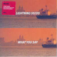 Lightning Seeds - What You Say (Single: CD 2)