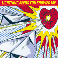 Lightning Seeds - You Showed Me (Remixes - Single)
