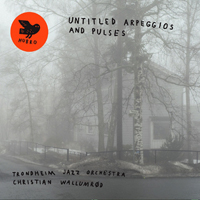 Wallumrod, Christian - Trondheim Jazz Orchestra & Christian Wallumrod - Untitled Arpeggios and Pulses