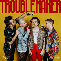 Picture This - Troublemaker (Single)