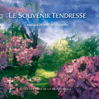Jeandot, Nicolas - Le Souvenir Tendresse