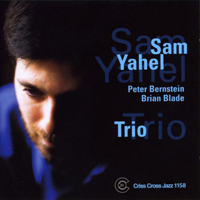 Yahel, Sam - Trio