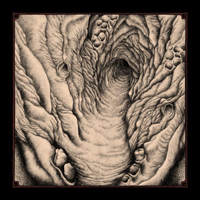Sinmara - Aphotic Womb