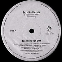 Pet Shop Boys - Sexy Northerner (12