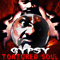 2015 Tortured Soul (Gypsy Solo Album)