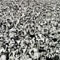 1990 Listen Without Prejudice