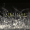 2018 Liminal 2