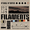 2020 Filaments