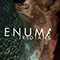 2020 Enuma