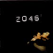 2004 2046