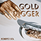 2020 Gold Digger (Single)