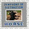 Symphony Of Distraction - Horse