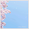 2020 Cherry Blossoms (Single)