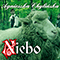 2010 Niebo (Single)