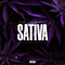 2021 Sativa (with Yung Freezy & Filah) (Single)