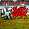 2022 Bring It Home To Wales (Single)