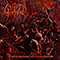 Gutfed - The Reign Of Pure Madness And Contagious Perversion