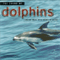 2007 The Sound Of Dolphins