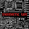2013 Synthetic Life