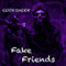 2022 Fake Friends