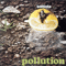 1972 Pollution (Reissue 1998)