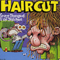 1993 Haircut