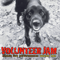 1999 Volunteer Jam - Classic Live Performances, Volume II
