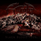 2011 Black Blood Flux