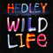 2013 Wild Life