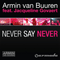 2009 Never Say Never (Remixws) [EP]