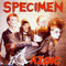 Specimen - Azoic